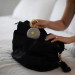 Yogasleep Hushh White Noise Machine rental in Flagstaff Arizona