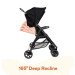 Zoe Twin+ (Zoe XL2) Stroller rental in Raleigh, NC